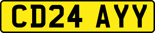 CD24AYY