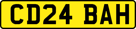 CD24BAH