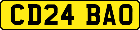 CD24BAO