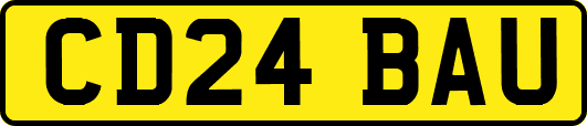 CD24BAU