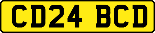 CD24BCD