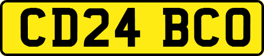 CD24BCO