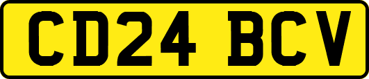 CD24BCV
