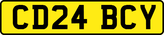 CD24BCY