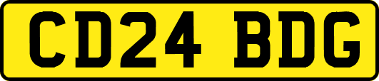 CD24BDG