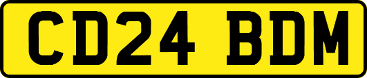 CD24BDM