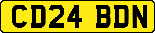 CD24BDN