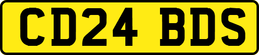 CD24BDS