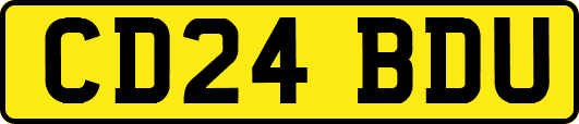 CD24BDU