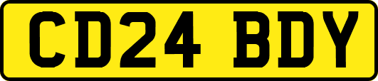 CD24BDY