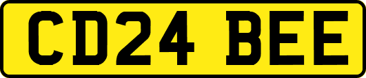 CD24BEE