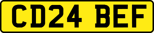 CD24BEF