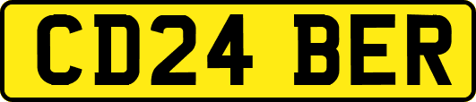 CD24BER