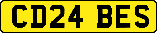 CD24BES