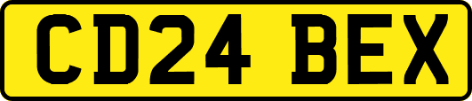 CD24BEX