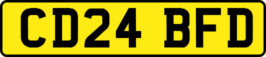 CD24BFD