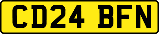 CD24BFN