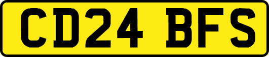 CD24BFS