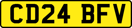 CD24BFV