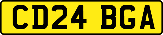 CD24BGA