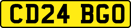 CD24BGO