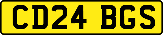 CD24BGS