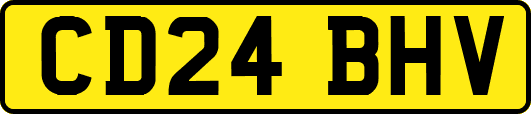 CD24BHV