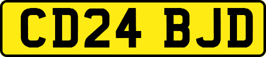 CD24BJD