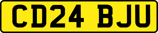 CD24BJU