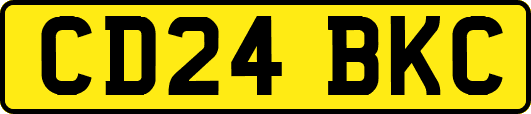 CD24BKC