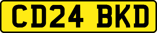 CD24BKD