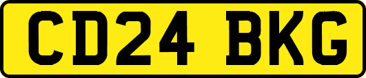 CD24BKG