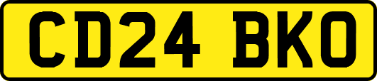 CD24BKO