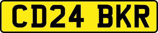 CD24BKR