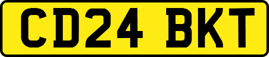 CD24BKT