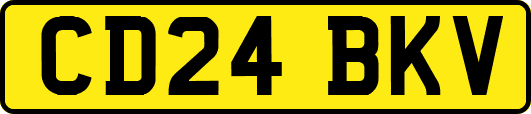 CD24BKV