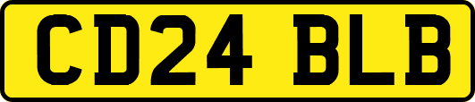 CD24BLB