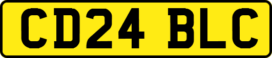 CD24BLC