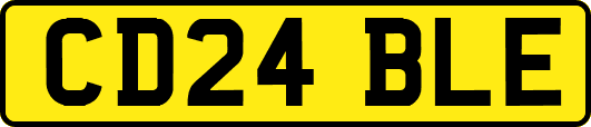 CD24BLE