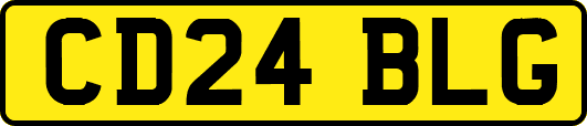 CD24BLG