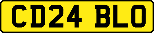 CD24BLO