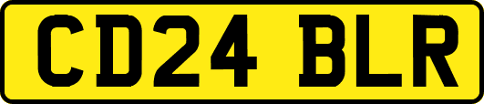 CD24BLR
