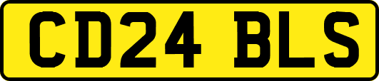 CD24BLS