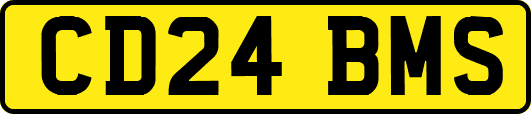 CD24BMS
