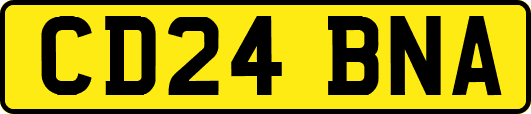 CD24BNA