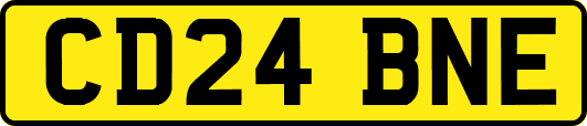 CD24BNE