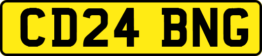 CD24BNG
