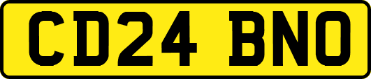 CD24BNO