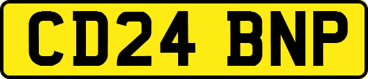 CD24BNP