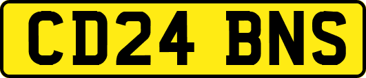 CD24BNS